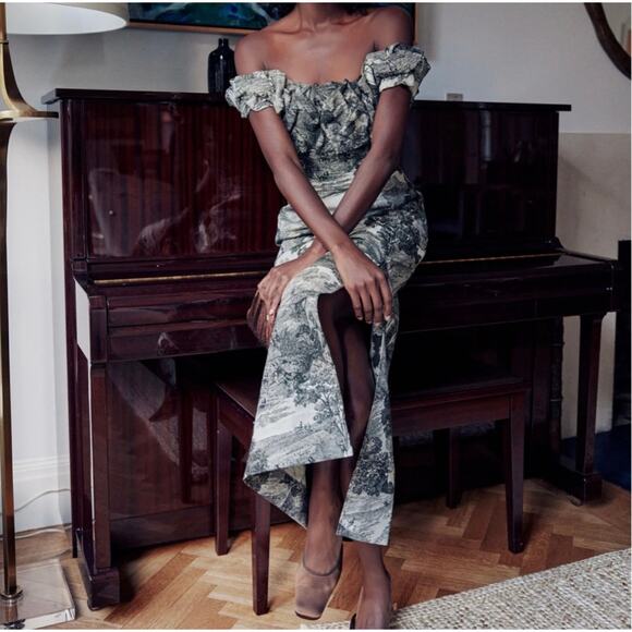 TUCKERNUCK middleburg toile suze dress NWT Size XS - Picture 2 of 7